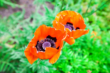 Similar image 21144505