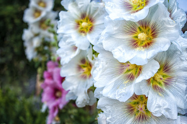 Similar image 21144506