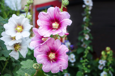 Similar image 21144508