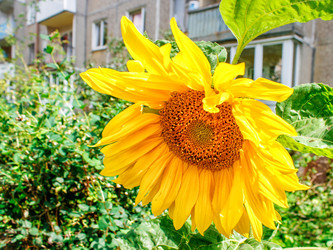 Similar image 21144510