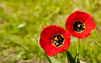 Similar image 21144514