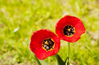 Similar image 21144516