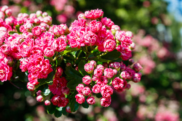 Similar image 21144517