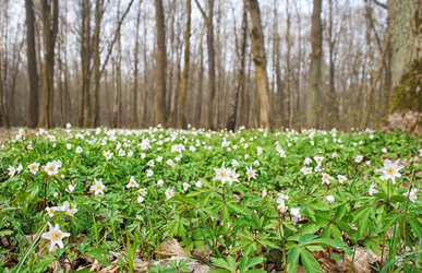 Similar image 21144519