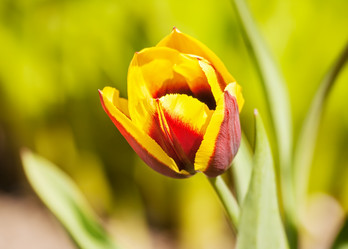 Similar image 21144526