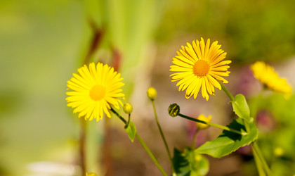 Similar image 21144528