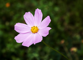 Similar image 21144534