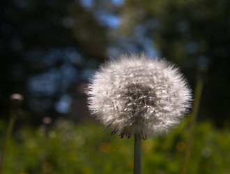 Similar image 21144535