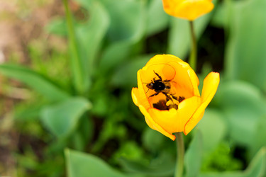 Similar image 21139433