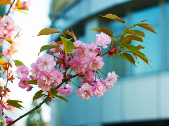 Similar image 21144540