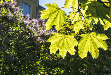 Similar image 21144543