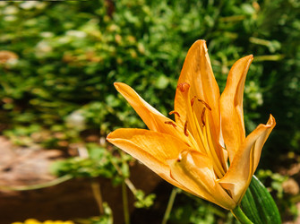 Similar image 21144546