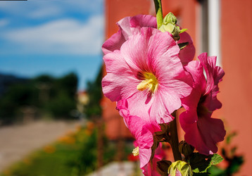 Similar image 21144550