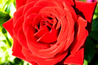 Similar image 21144804