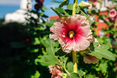 Similar image 21144805