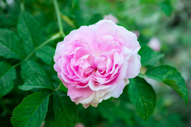 Similar image 21144810