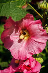 Similar image 21144811