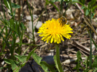 Similar image 21144812