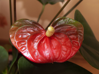 Similar image 21144814