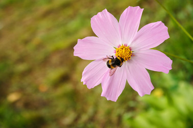 Similar image 21144816