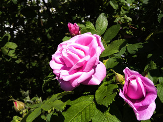 Similar image 21144817