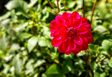 Similar image 21144822