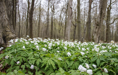 Similar image 21144825