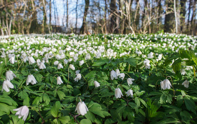 Similar image 21144826