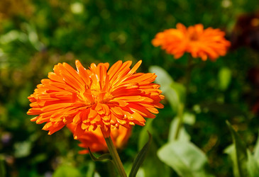 Similar image 21144828