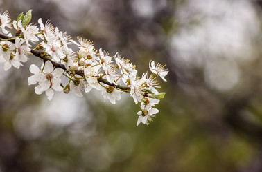 Similar image 21144830