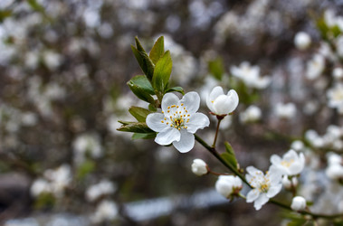 Similar image 21144831