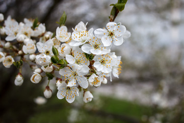 Similar image 21144832