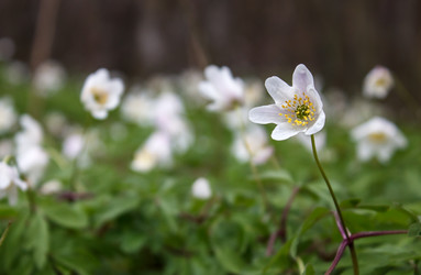 Similar image 21144833