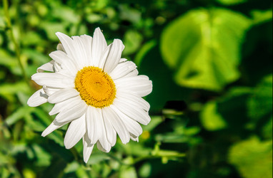 Similar image 21144834