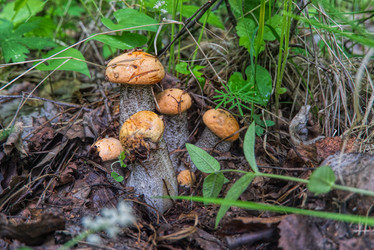 Similar image 21142820