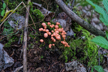 Similar image 21142821