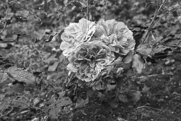 Similar image 21142824