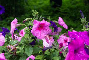 Similar image 21142826