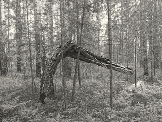 Similar image 21142827