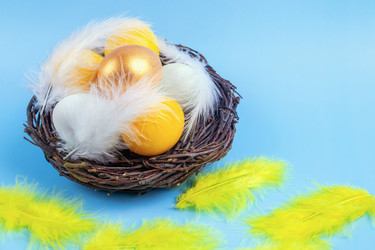 Similar image 21136378