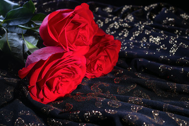 Similar image 21136380