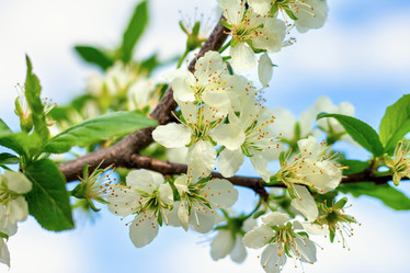 Similar image 21136394