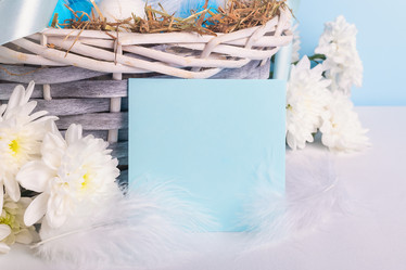 Similar image 21136395