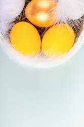 Similar image 21136398