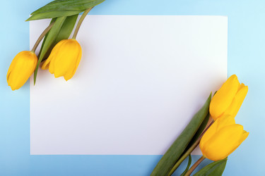 Similar image 21136399