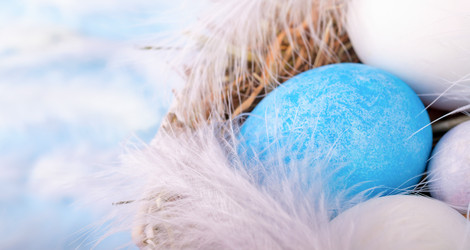 Similar image 21136415