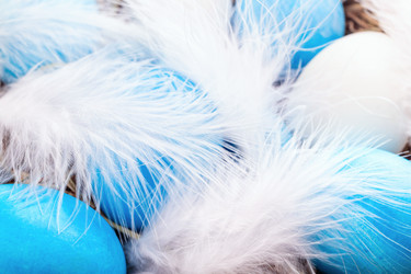 Similar image 21136691