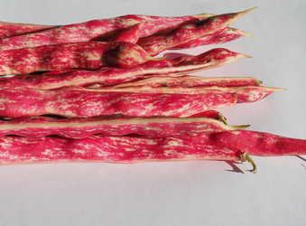 Similar image 21177557