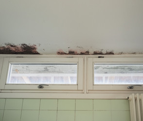 Similar image 21177584