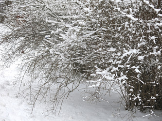 Similar image 21136536